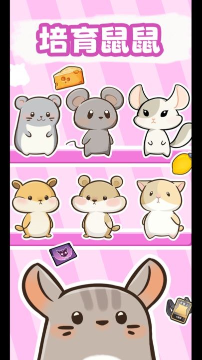 社会我猫哥手机版