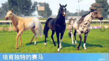 赛马模拟竞速安装最新版