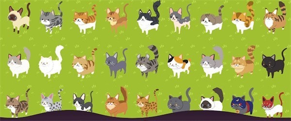 喵喵餐厅的奇迹手机最新版