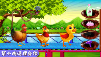 快乐小鸡手游官方版