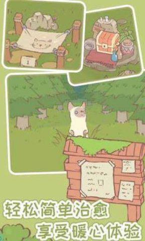 猫咪物语最新版安装