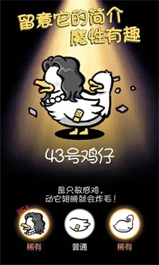 小鸡真奇怪最新版