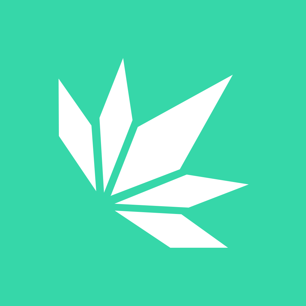 琴叶小说官方客户端 v1.0.0