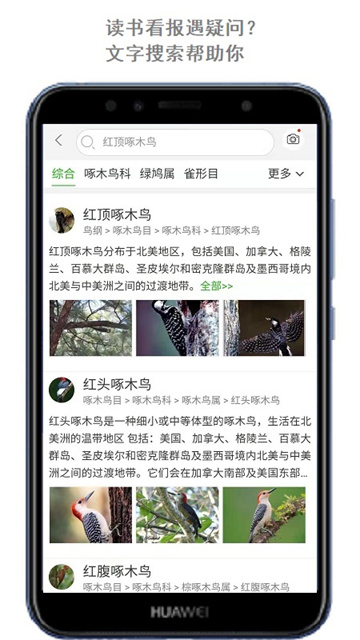 万物识别扫一扫软件