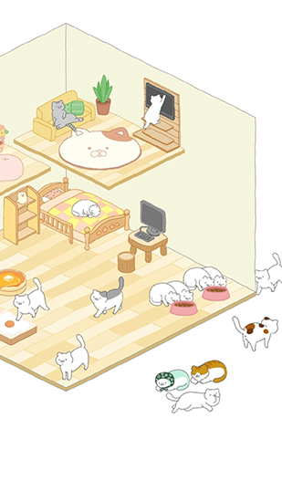 猫咪很可爱无2025版