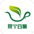 景宁百狮app安卓版