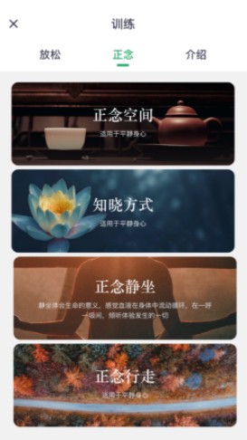 硅语放松app官方版 v1.0