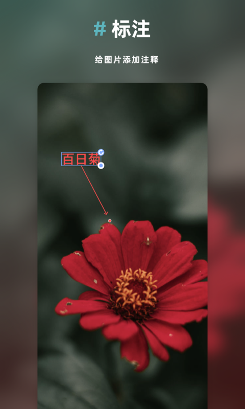 Annotable图片处理app免费版 v1.0
