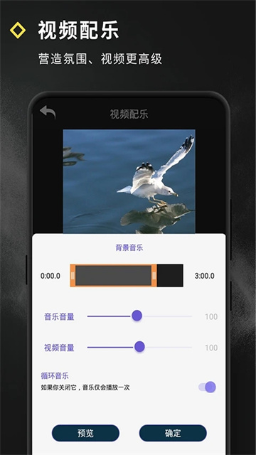 短视频特效app官方版