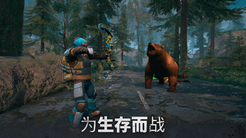几日之后