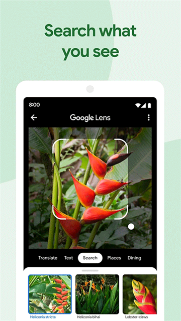 google相册