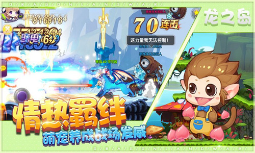 龙之岛战纪
