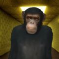 Gmod躲猫猫追逐游戏下载正版