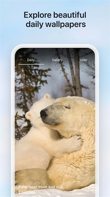 微软必应国际版