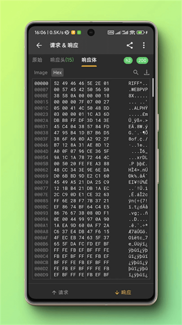 小黄鸟app官方版