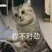 你不对劲猫gif表情包原图 v1.0