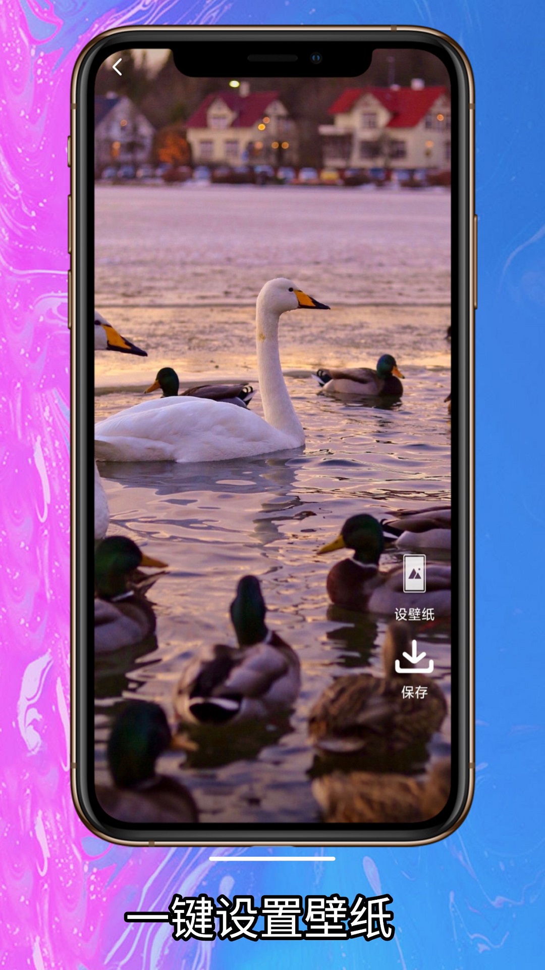 简单壁纸图片大全高清全屏版 v1.0.0
