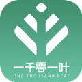 一千零一叶app免费版下载
