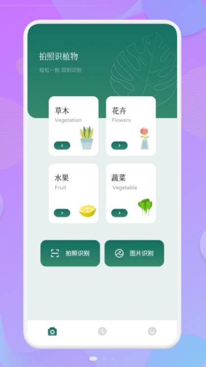 拍照识物伴侣app安卓版下载