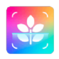 智能识别大师app下载安装手机版