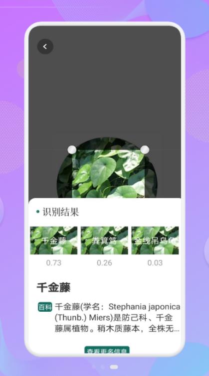 拍照识物伴侣app安卓版下载