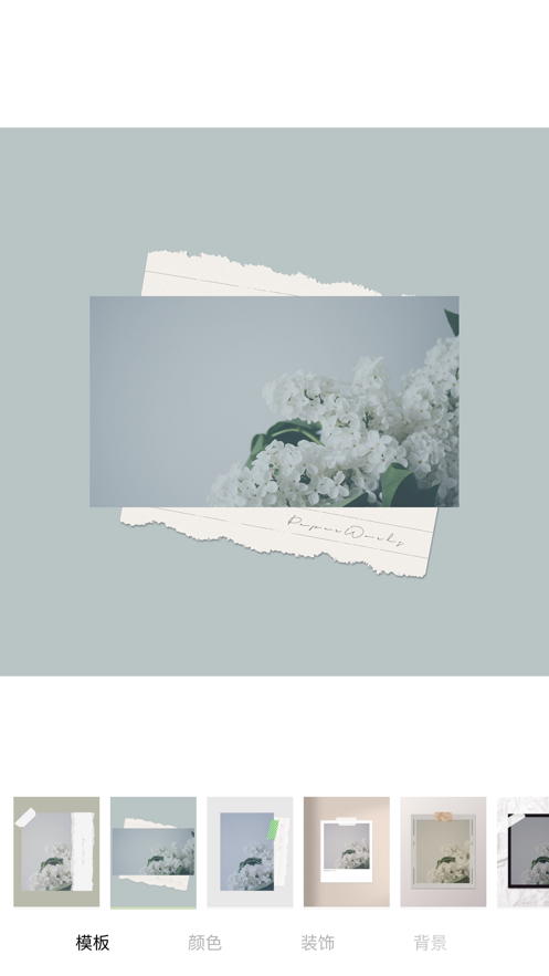 纸言APP免费版下载 v1.1