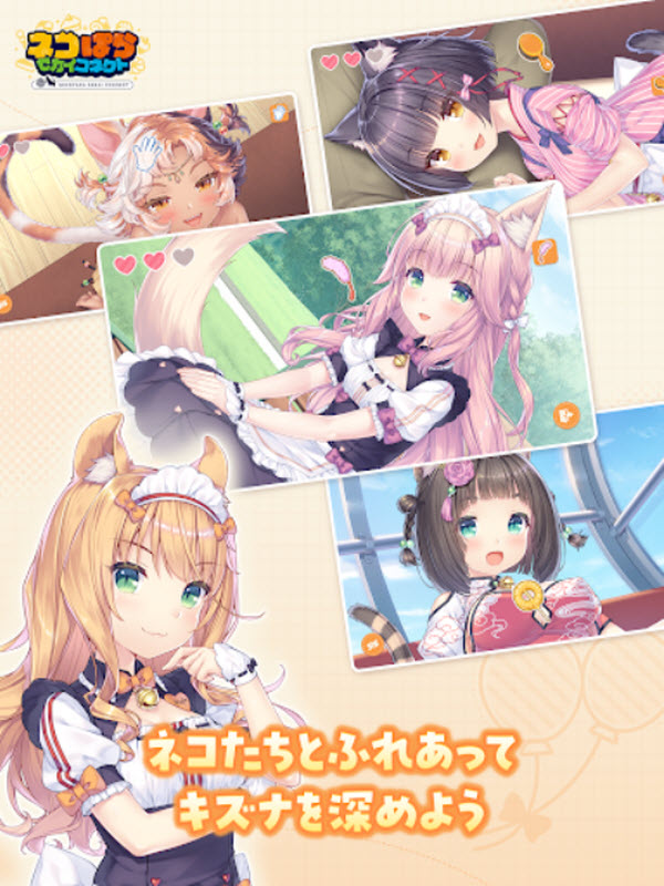 猫娘乐园世界连结国际服