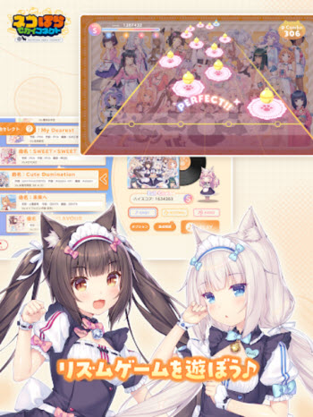 猫娘乐园世界连结国际服
