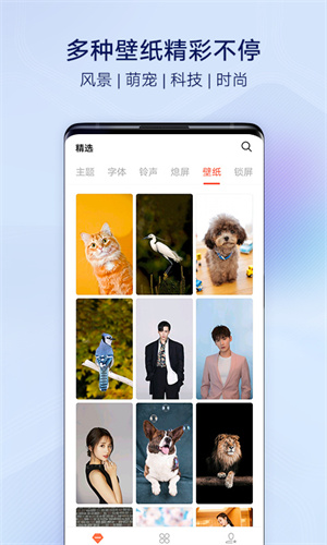 vivo主题商店app