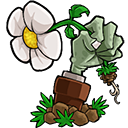 植物大战僵尸e版支线最新版