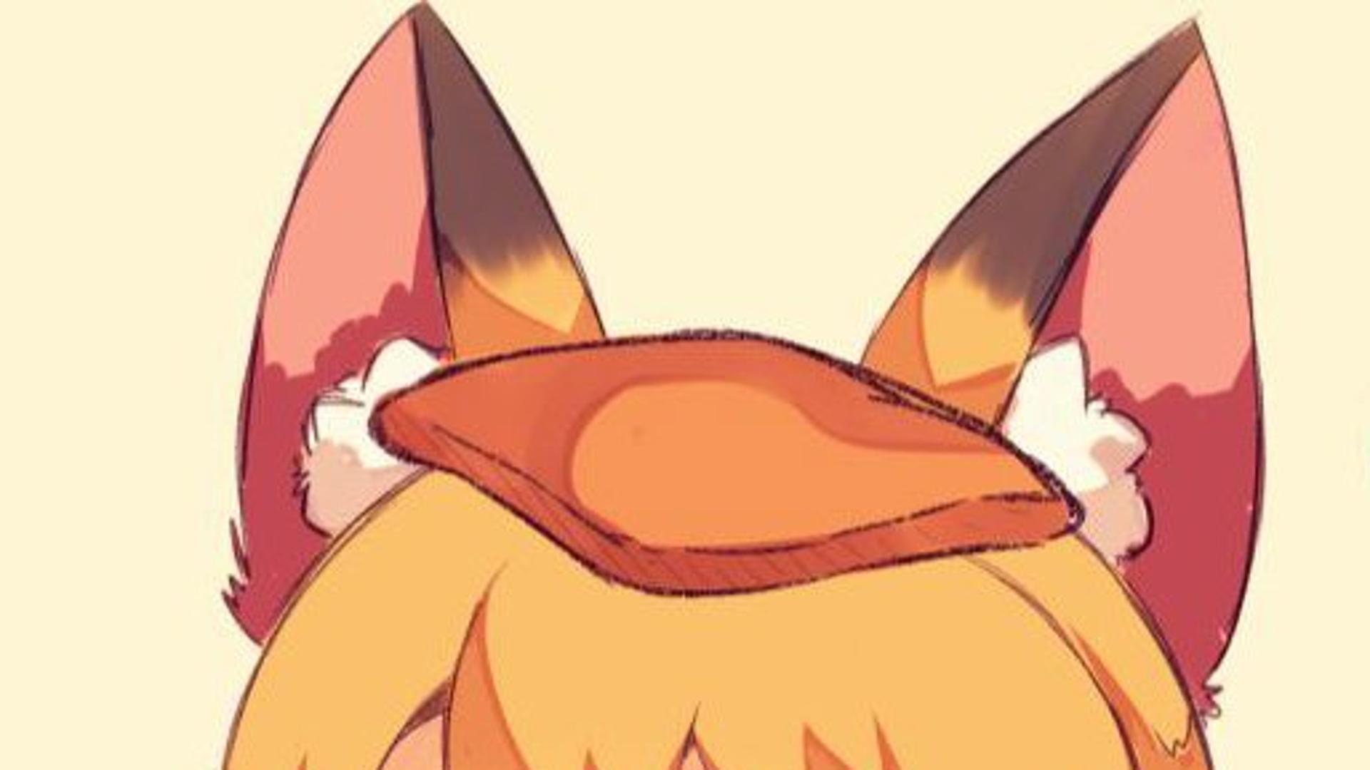 茶杯狐cupfox版本大全