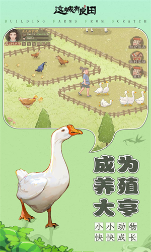 这城有良田无限资源版