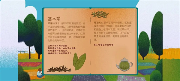 基本茶