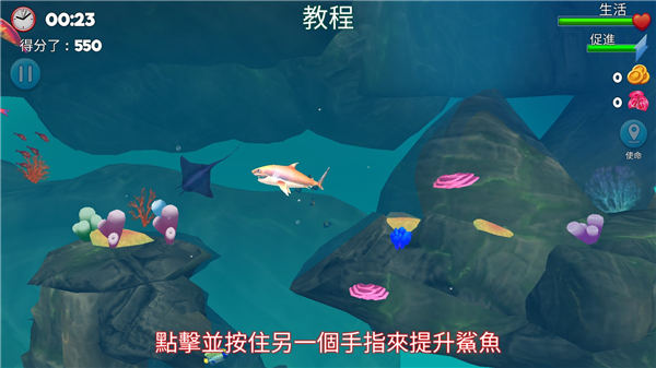 双头鲨游戏