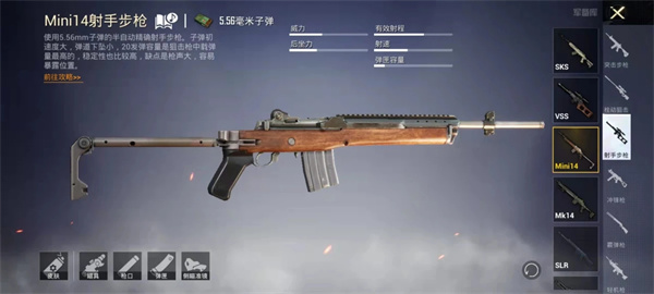 主副武器怎么搭配截图2
