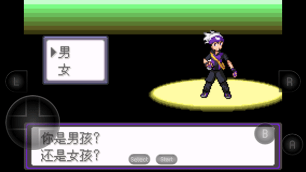口袋妖怪漆黑的魅影6.0手机版