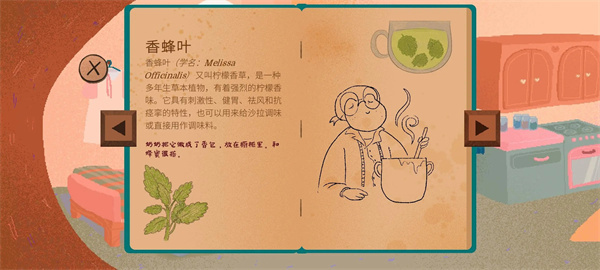 玫瑰果/姜/香蜂叶