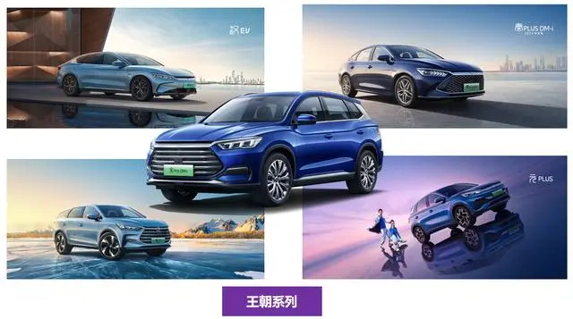 比亚迪海洋