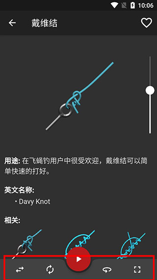 Knots 3D