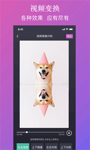 大神水印app
