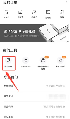 迷橙