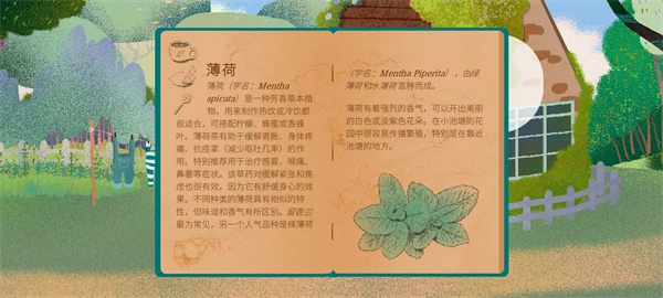 薄荷