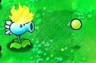 植物大战僵尸喵版