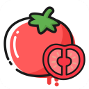 番茄轻断食app官方版